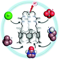 Graphical abstract: Acid–base modulation of a versatile heteroditopic calix[6]arene based receptor