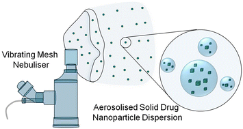 Graphical abstract: Development of solid drug nanoparticle dispersions for pulmonary delivery of niclosamide and nitazoxanide via vibrating mesh nebulisation